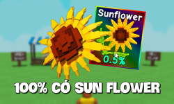 Acc Có Sun Flower